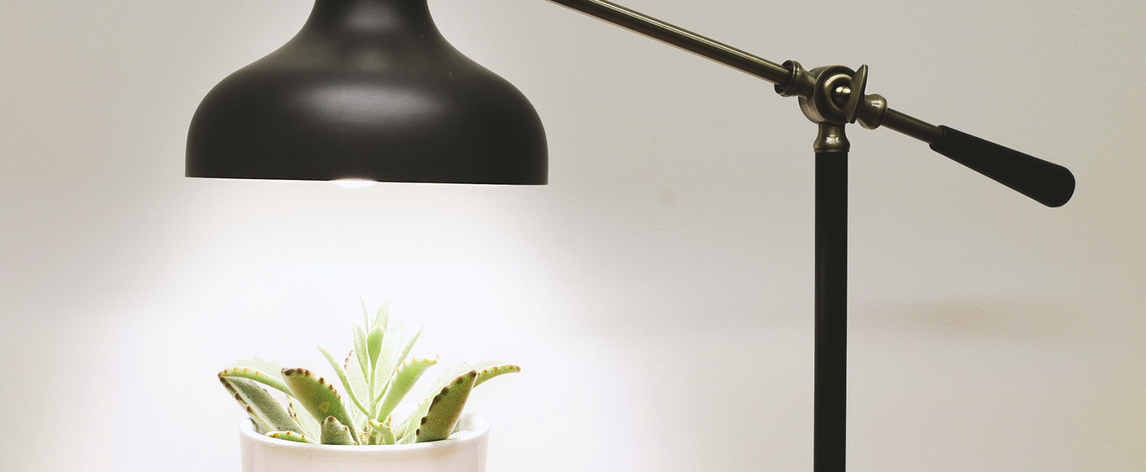 Servicio de sepelios